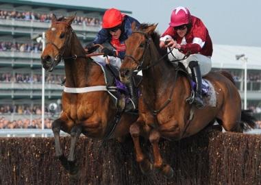 http://betting.betfair.com/horse-racing/first%20lieutenant.jpg